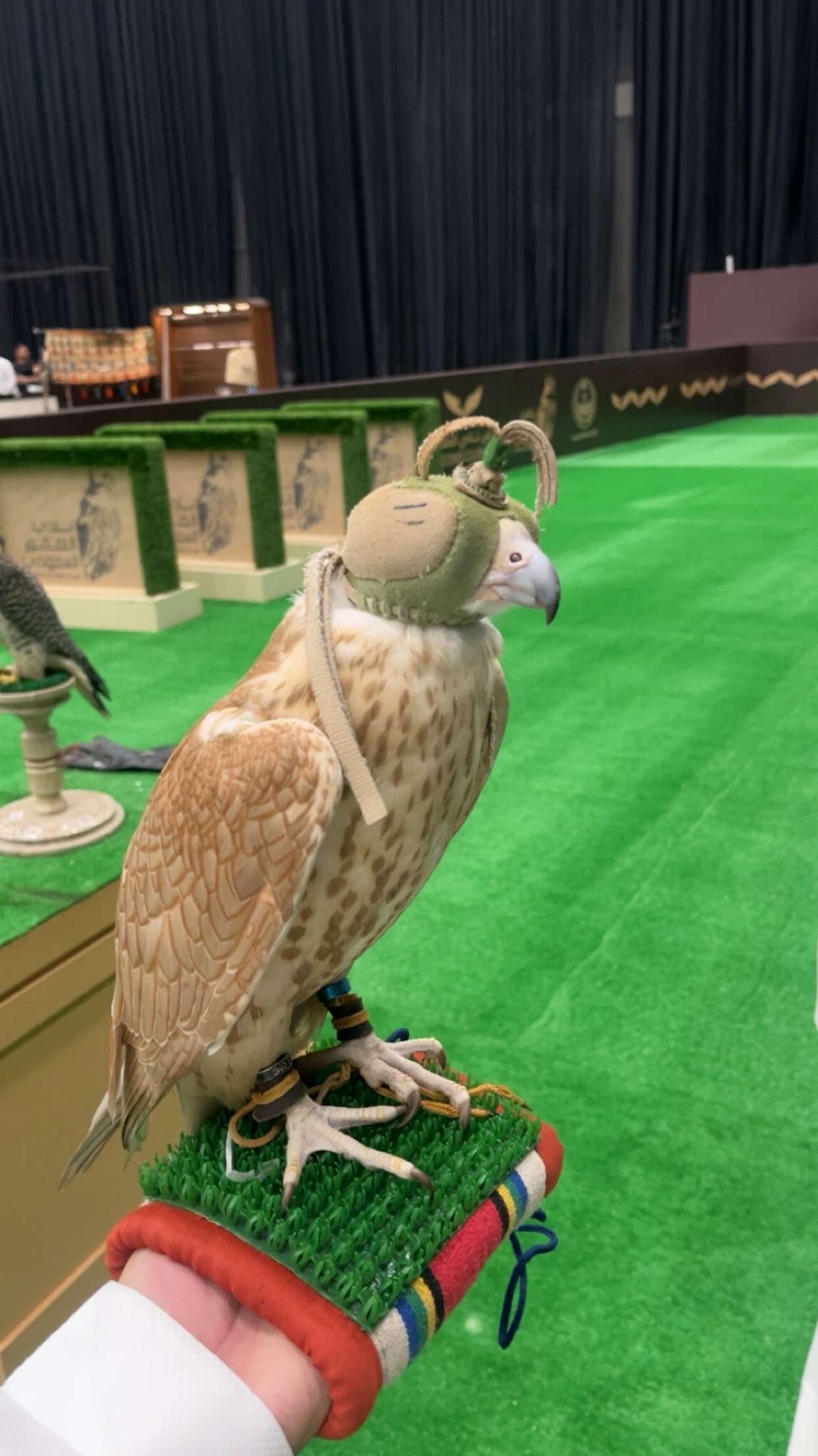 بدر الدوسري