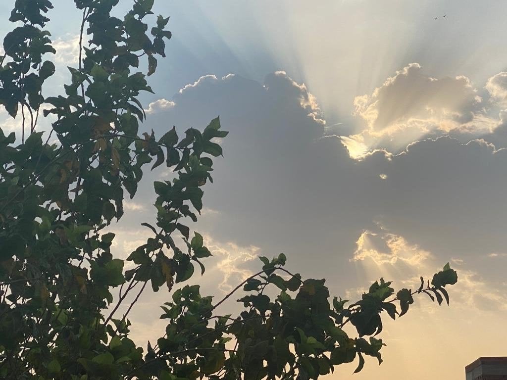صباح الحربي