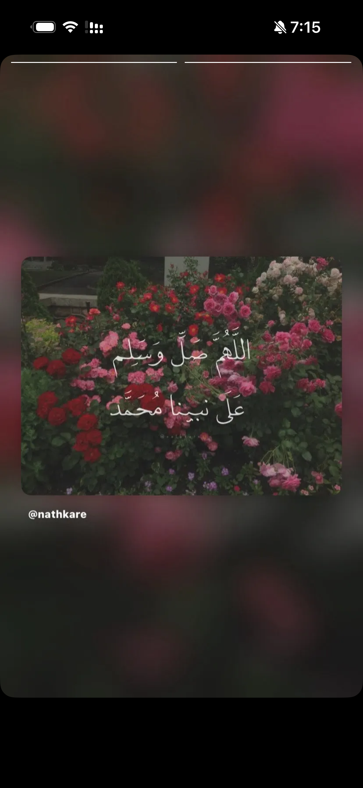 شموخ الزهراني