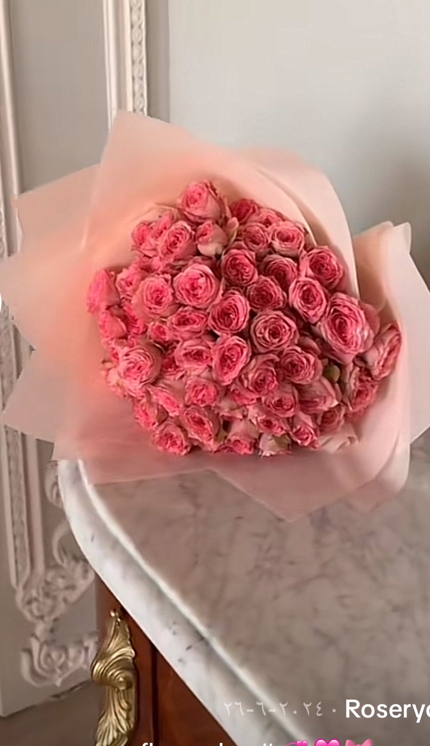 أمينه السلمي
