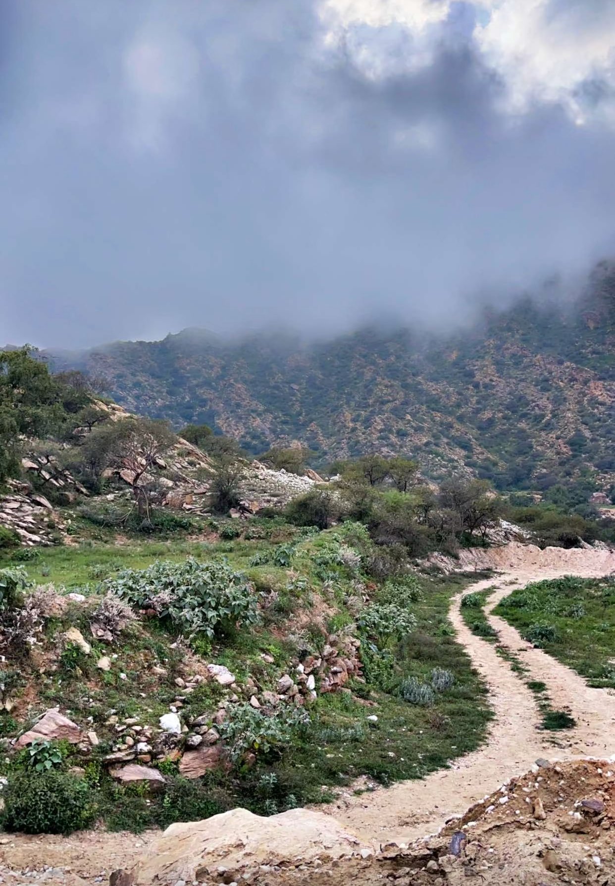 ابو حور الشهري