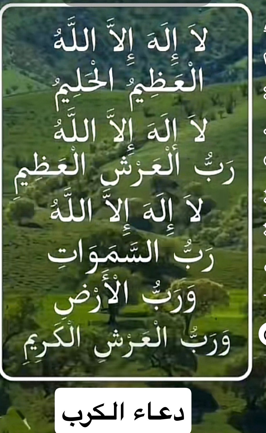 نواره الحارثي