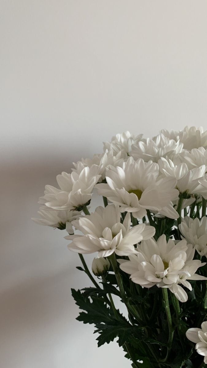 حنان الشهري