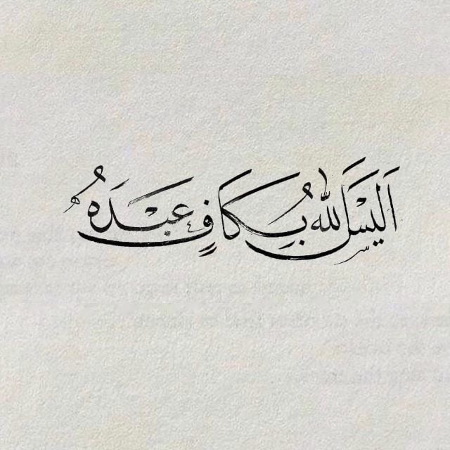 Alaa 7