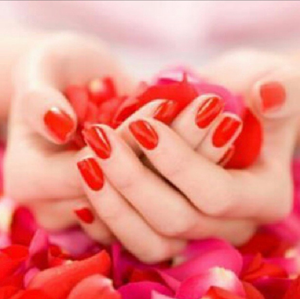 ميار الحربي