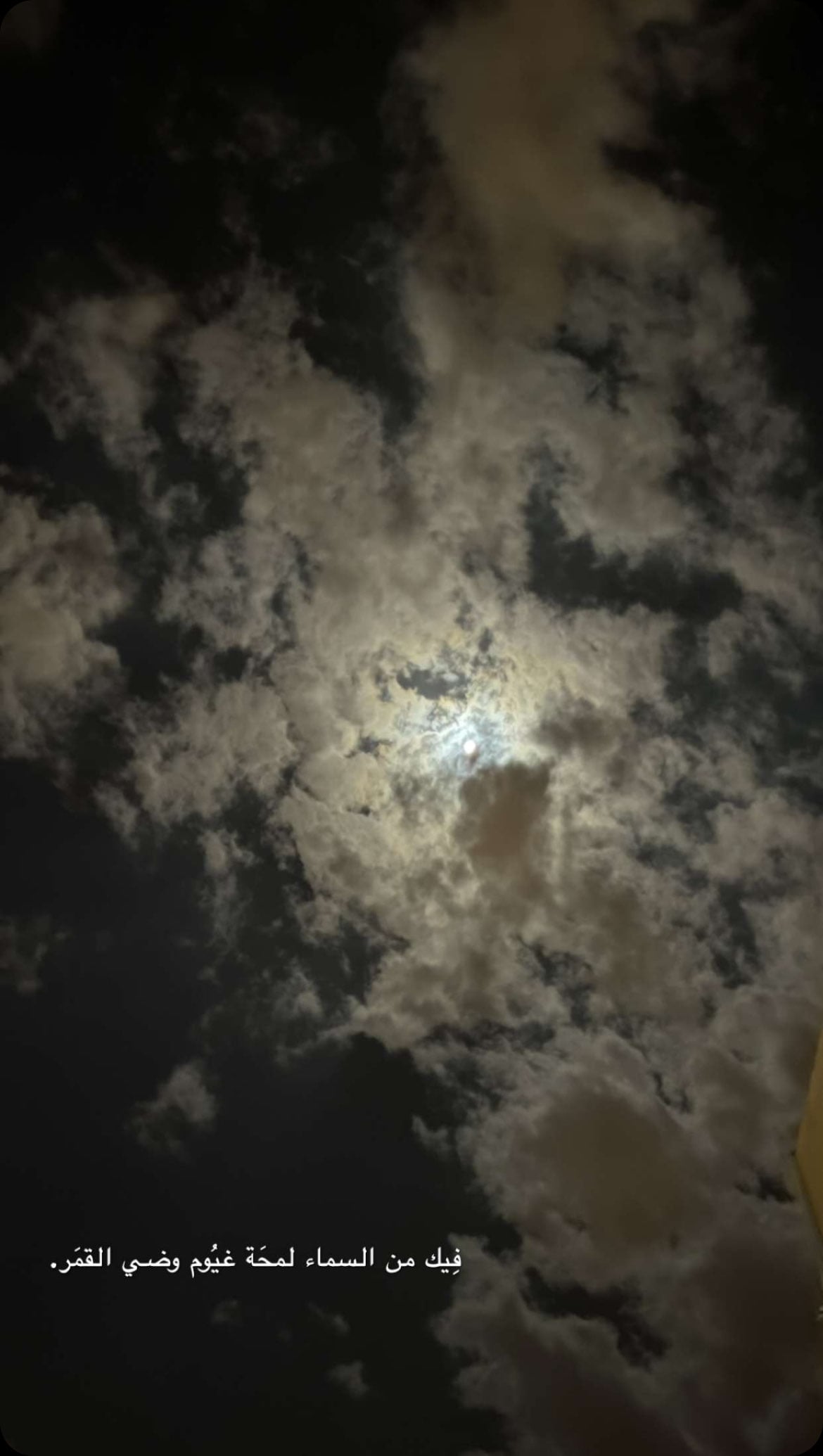 ريناد العرجان