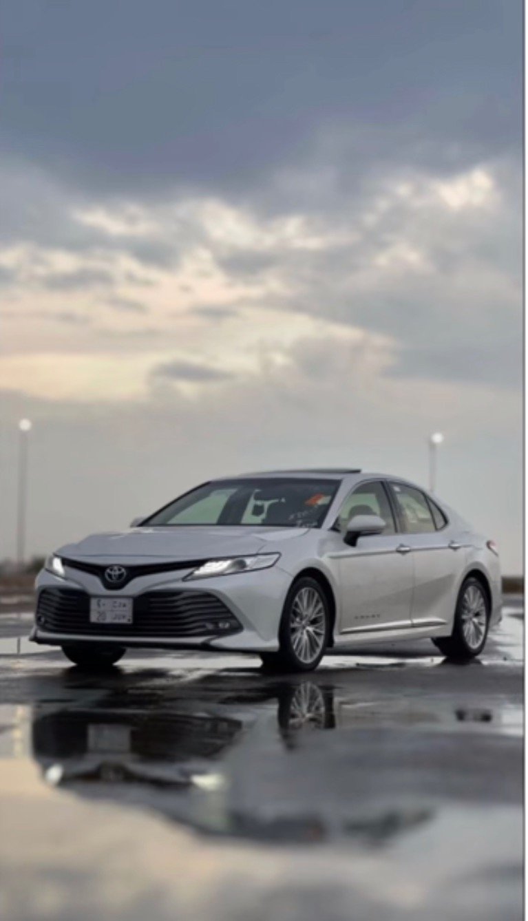 احمد الفيفي