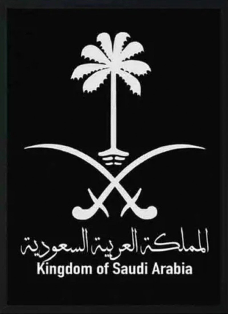 داود سليمان