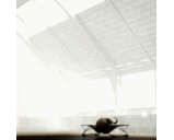 عبدالله أبو بتال