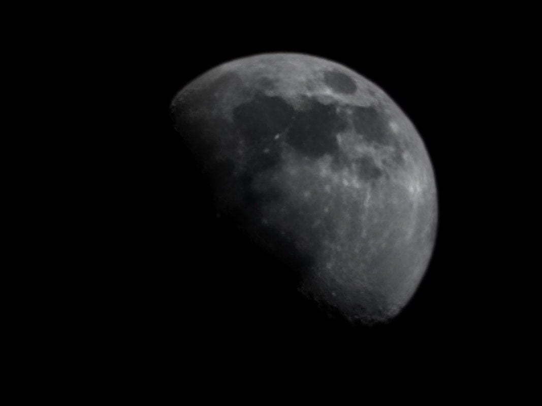 تركي التركي