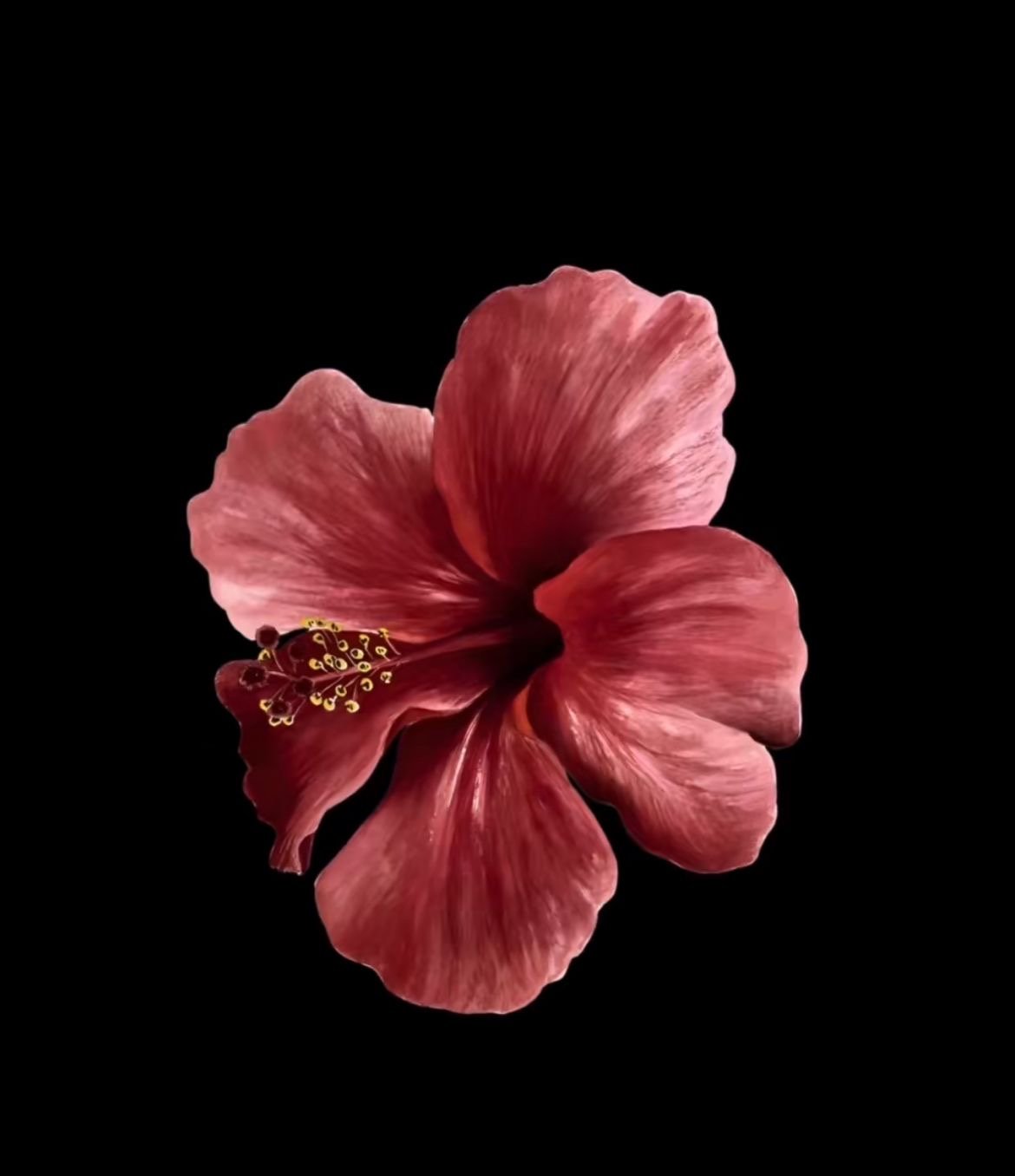 مِهاد طبيقي