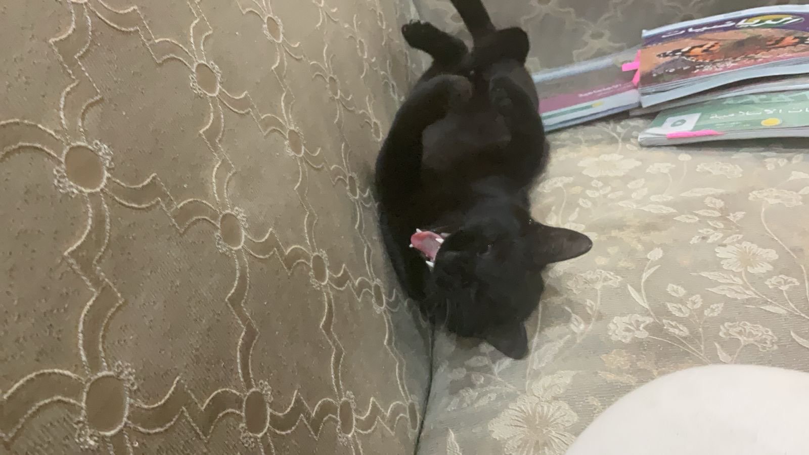 حاتم الحايطي