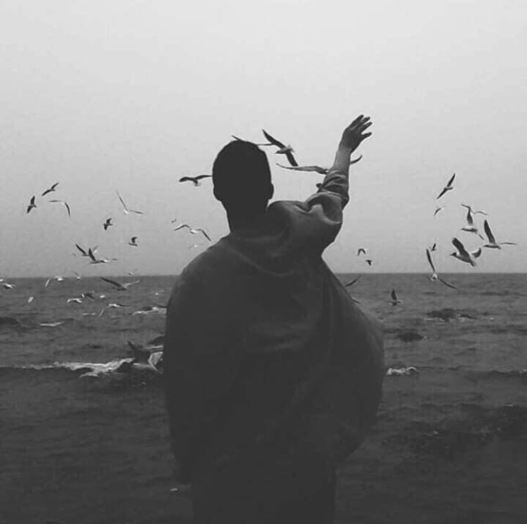 محمد الرفاعي