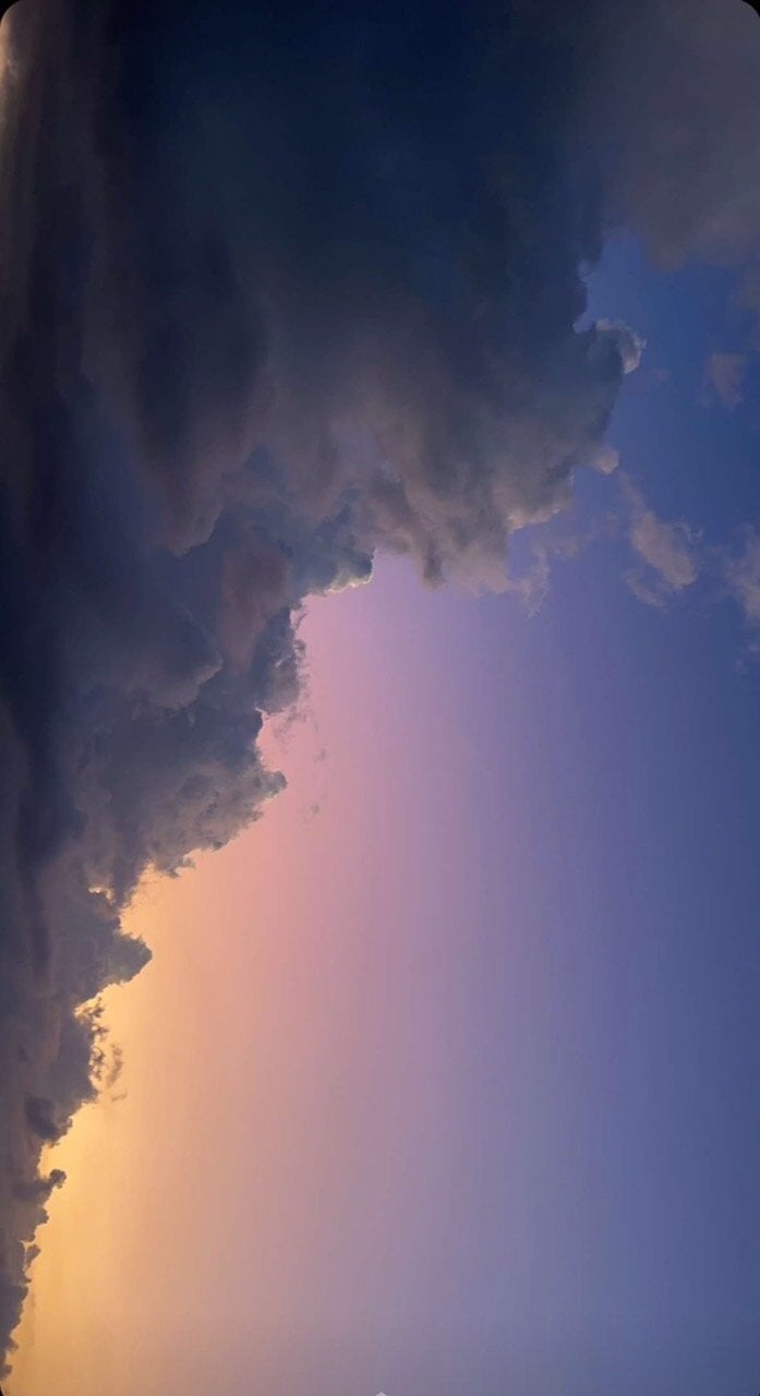 تهاني الشهري