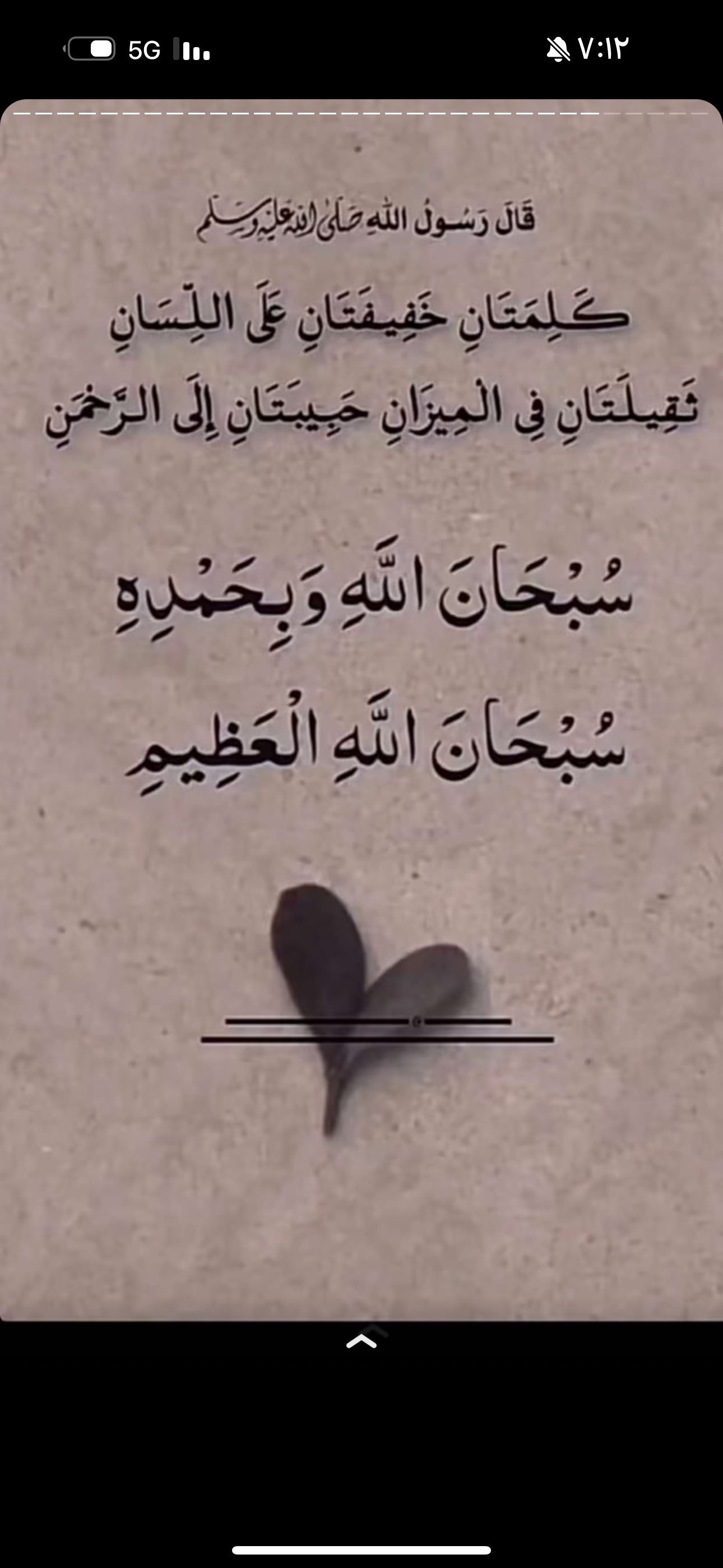 وضحاء السبيعي