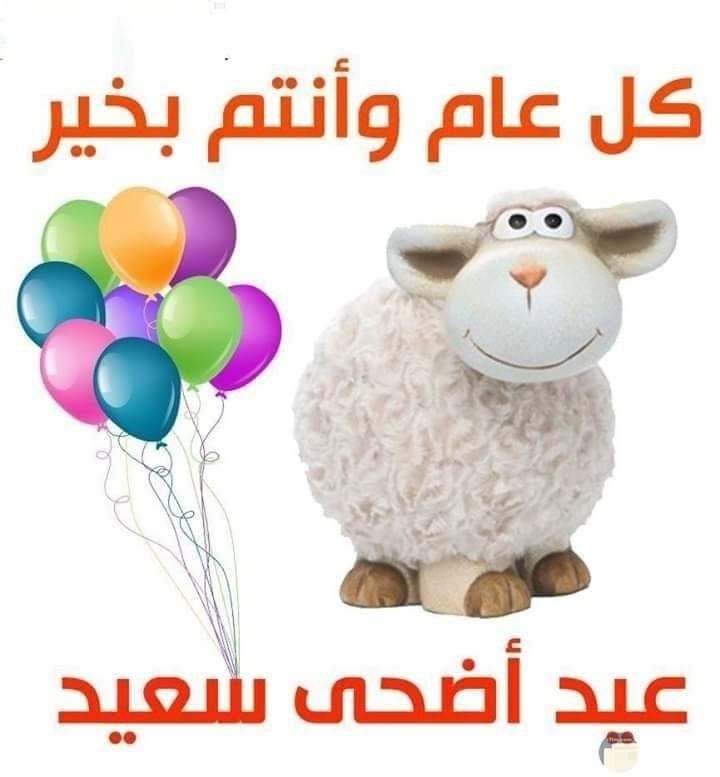 بشير الرعوي
