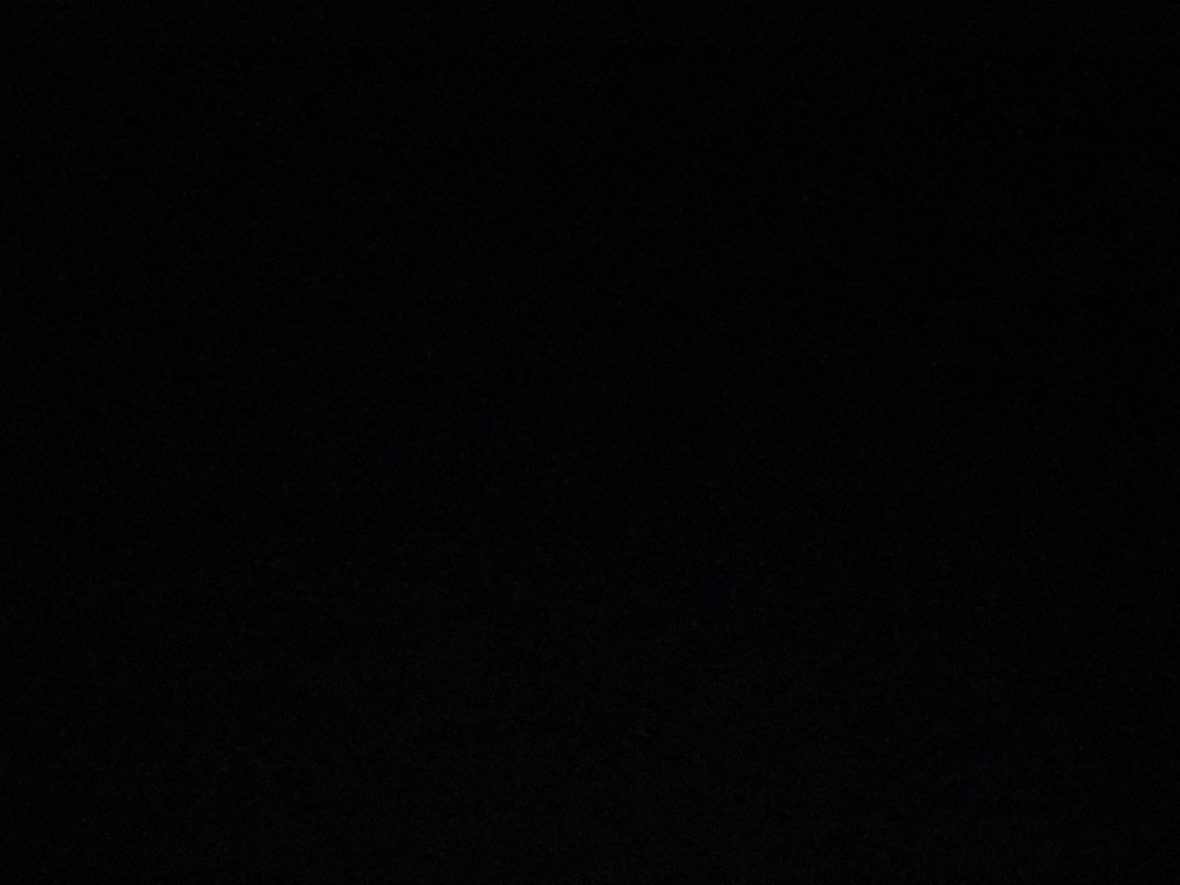 دانه عطاالله