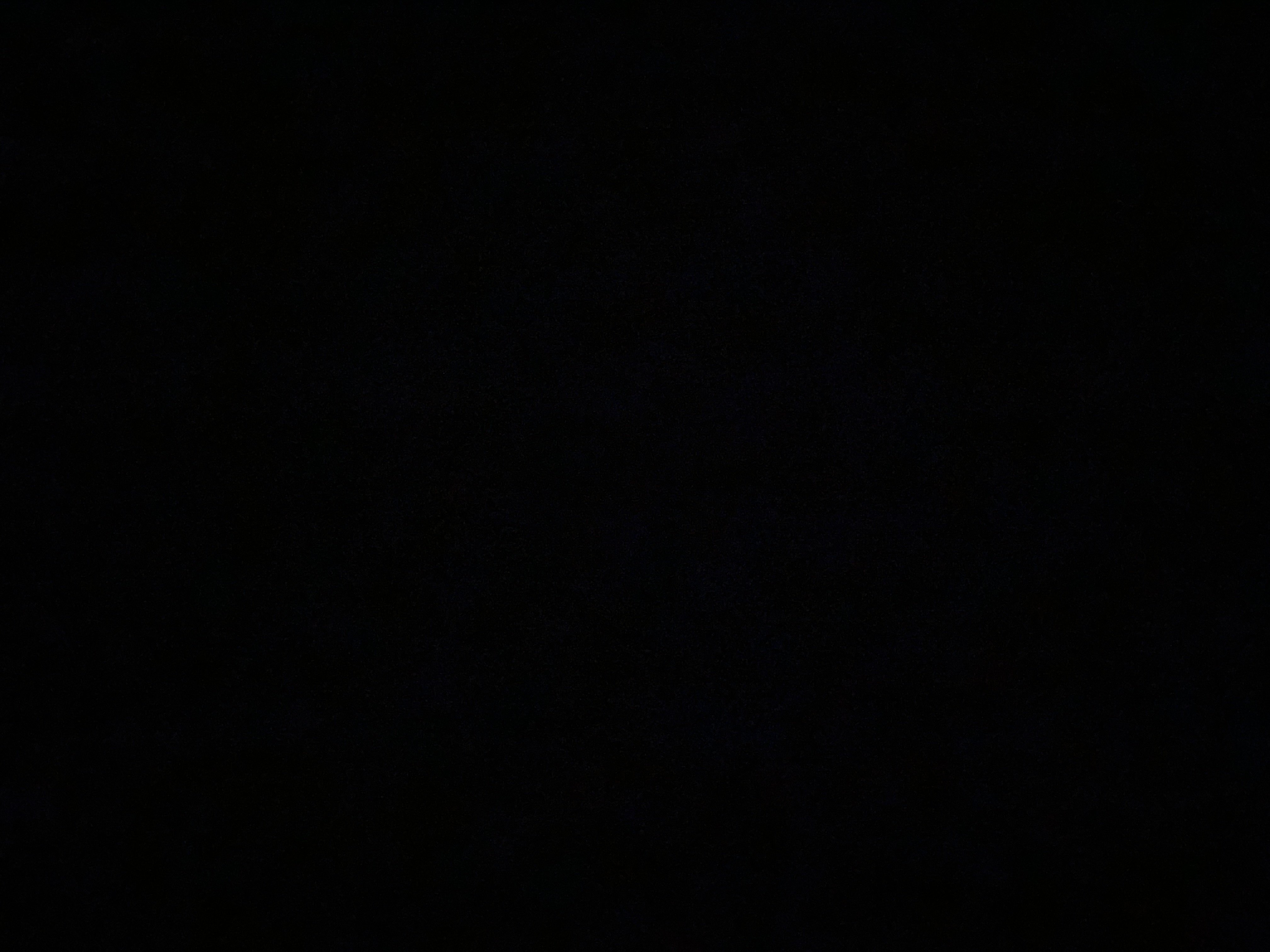 جوري إبراهيم