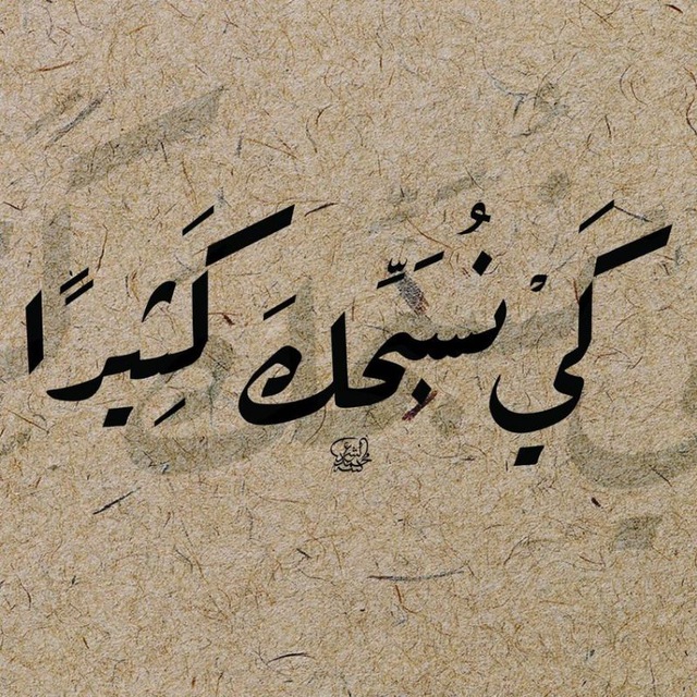 هدى علي