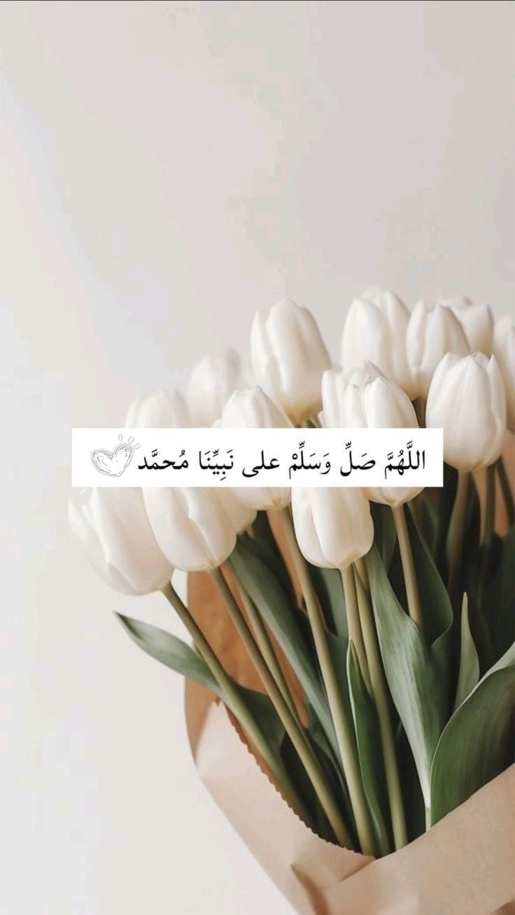 ربى محمد