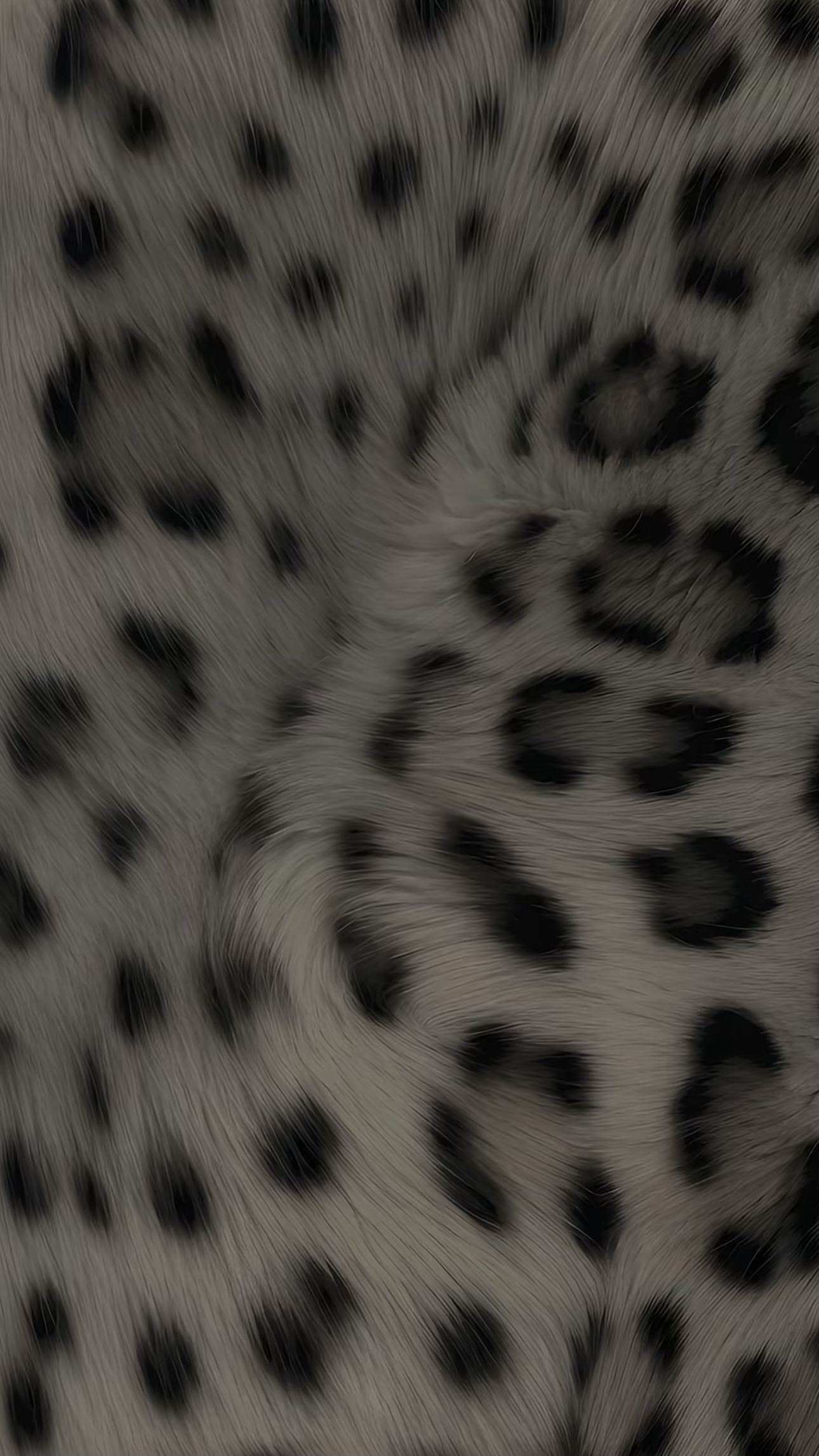ناصر المطيري