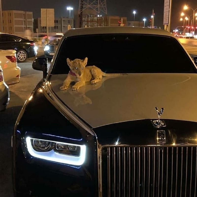 سعود بن صالح