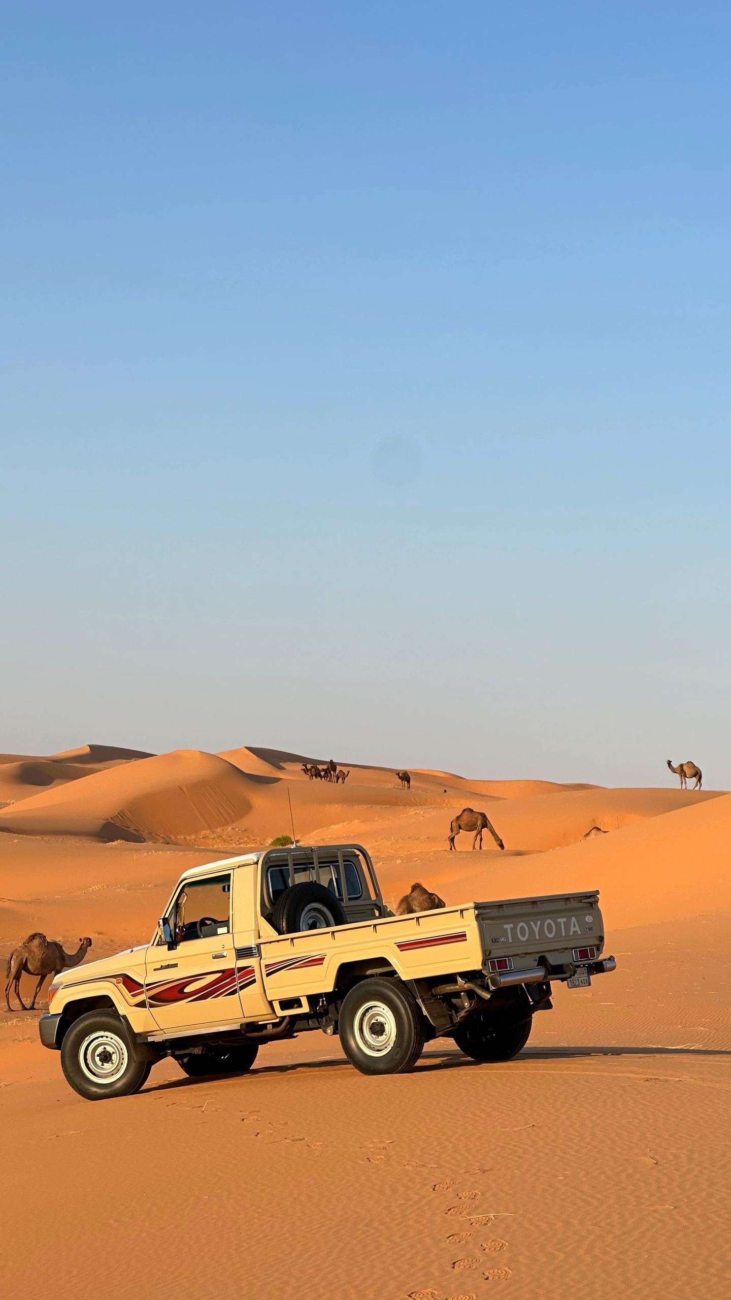 عبدالرحمن المقبل