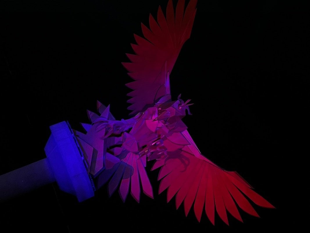 سماح الناشري