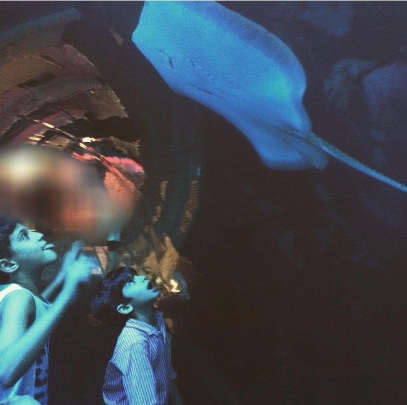 نورة القريشي