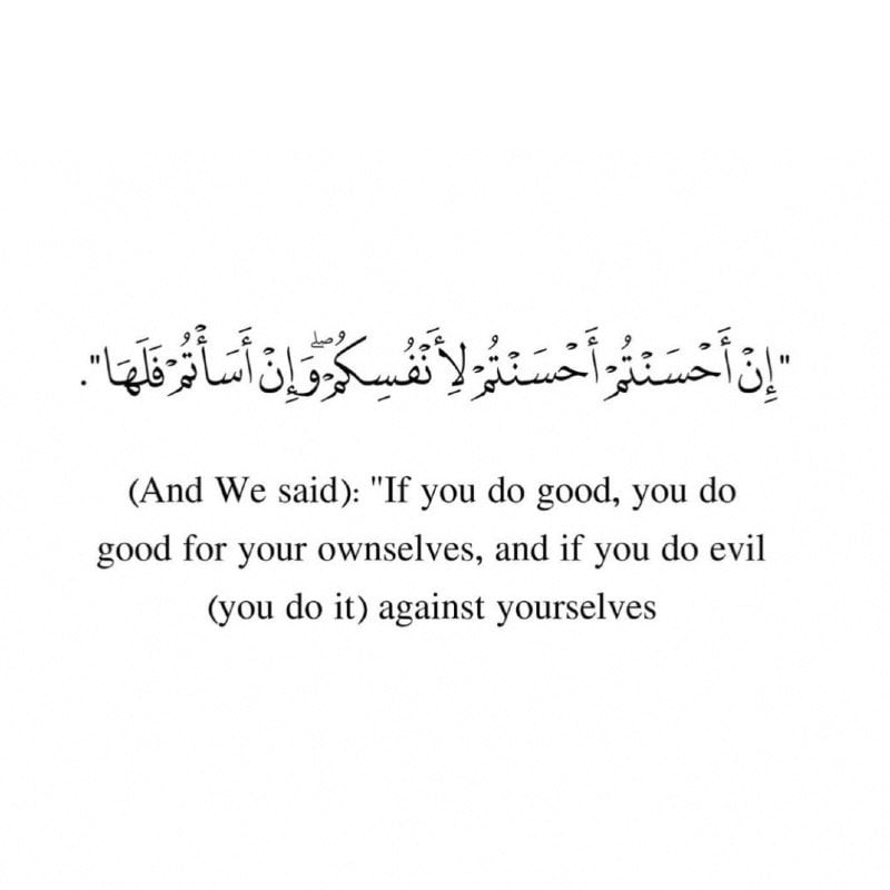 حيدر الحميد