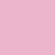 Donut t