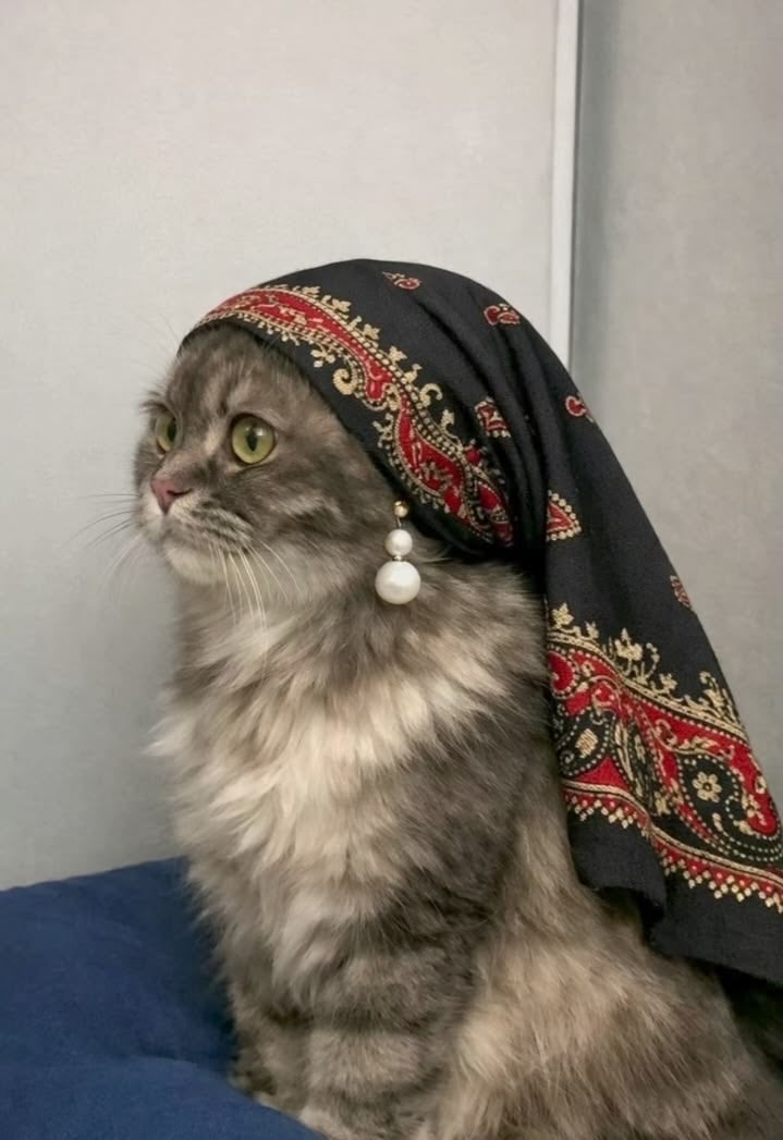 عهود 