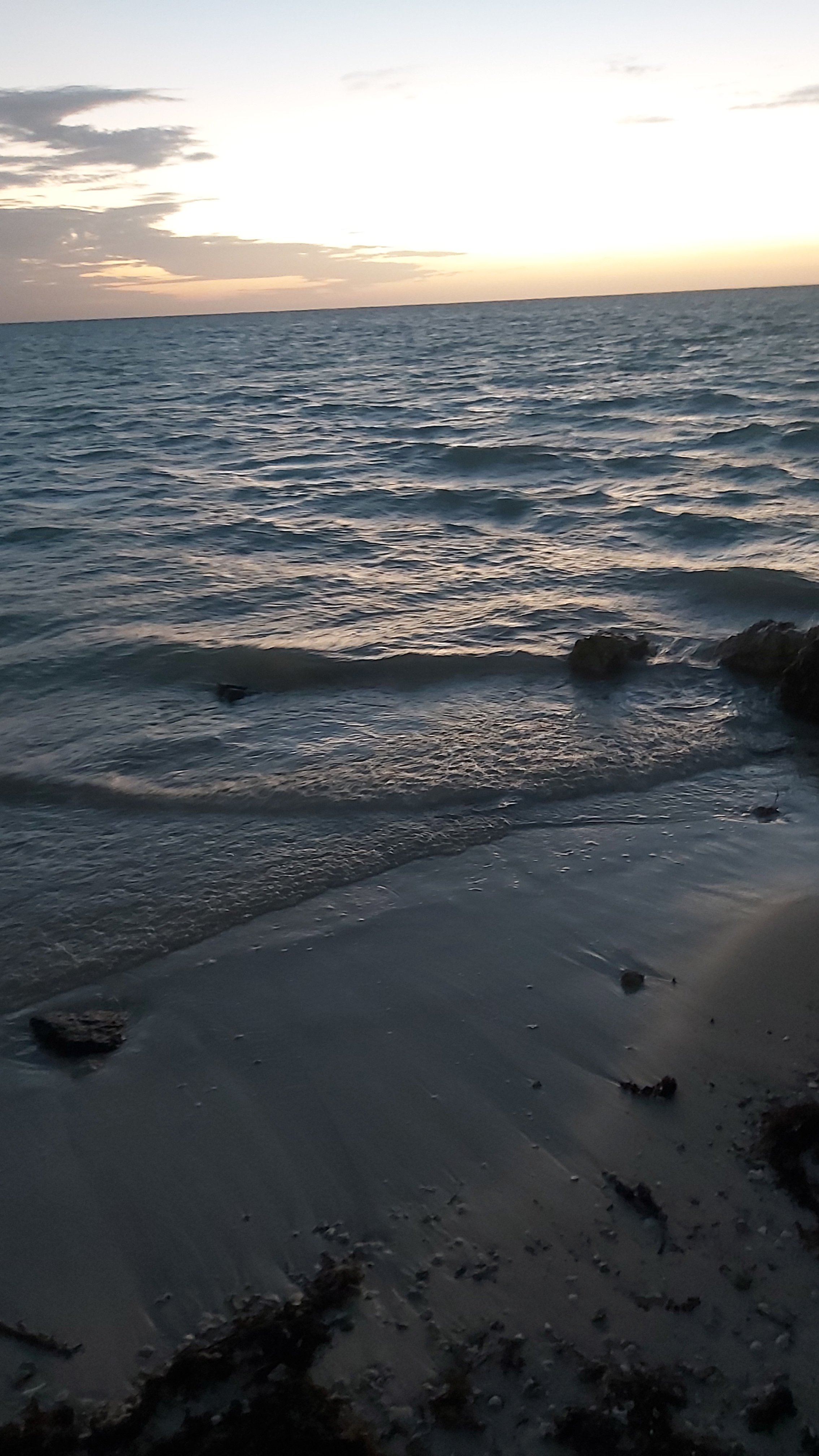 حسين الصباغ