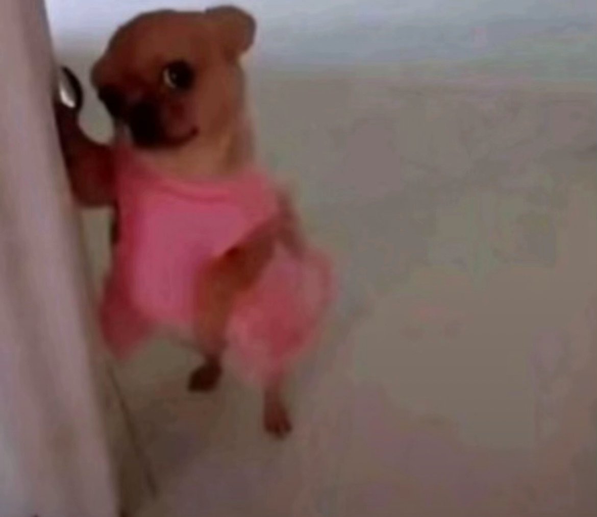 بدريه القحطاني