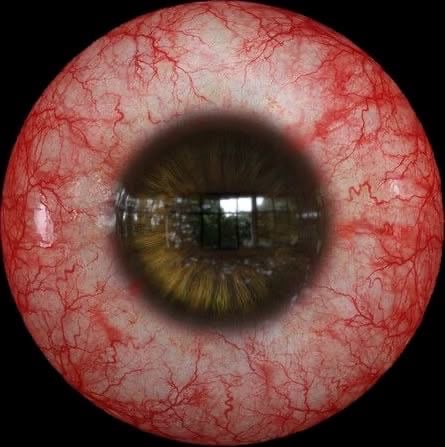 فيصل الحربي