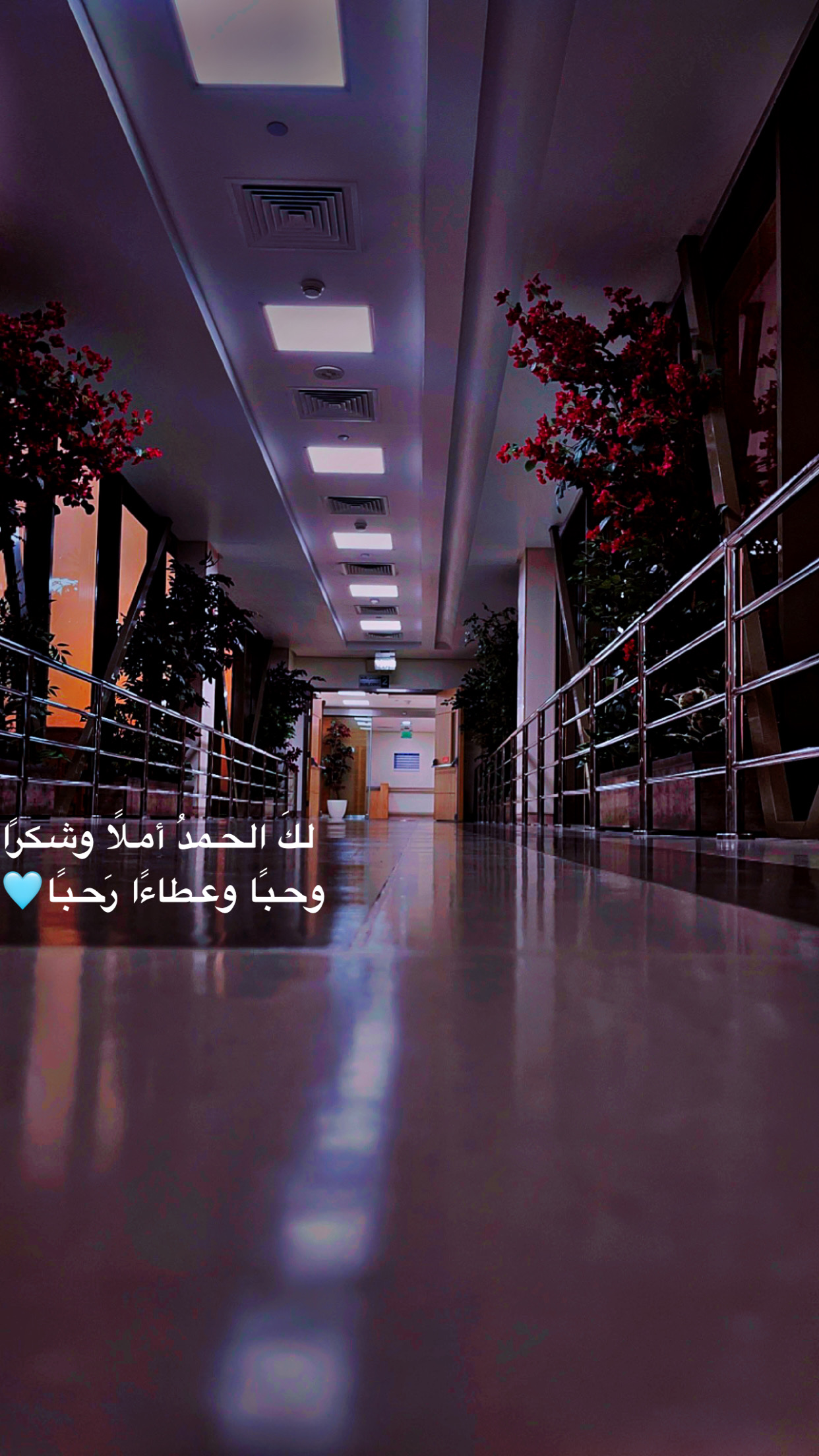أبـو سـحـآب الغامدي