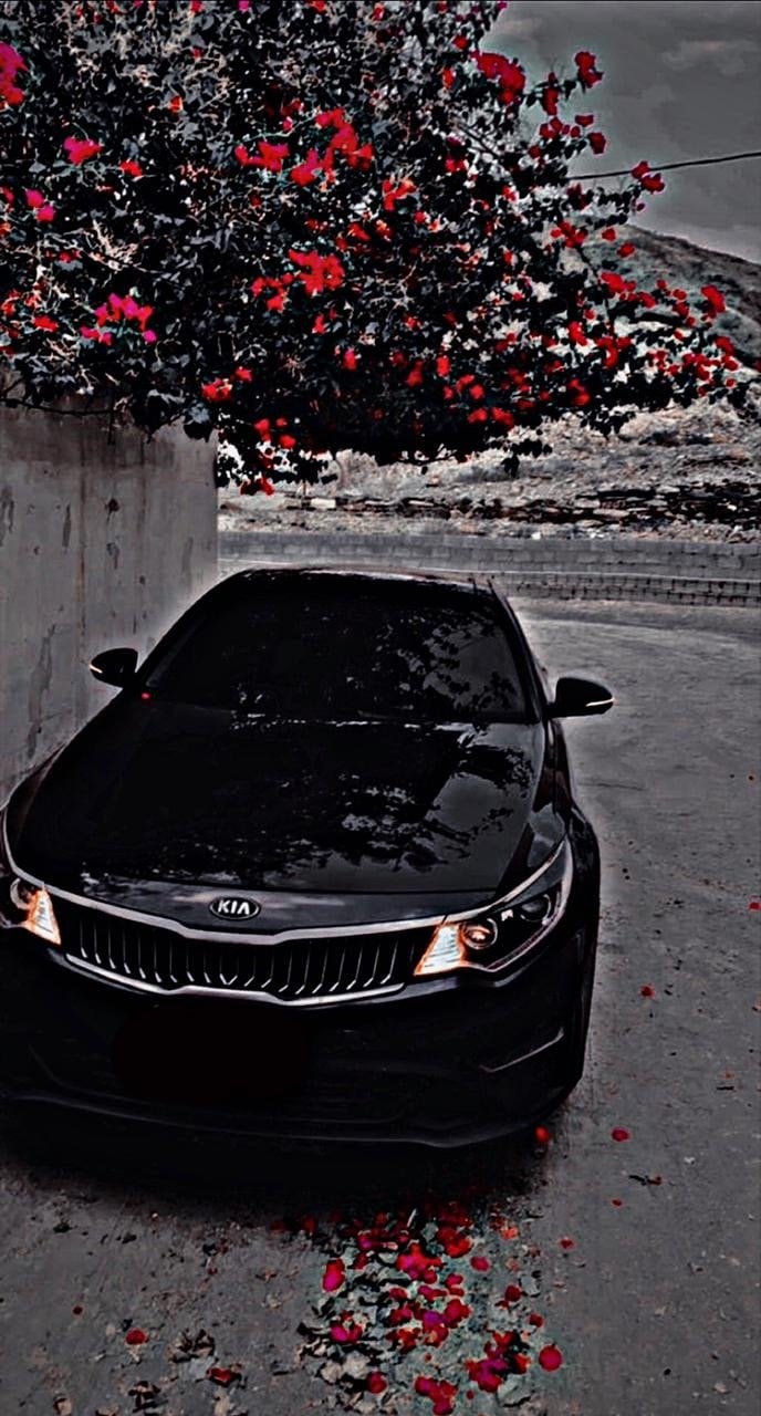 صالح الزهراني