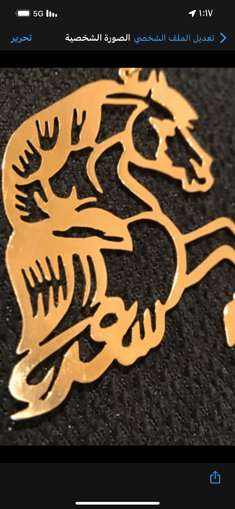 سعد المهنا .