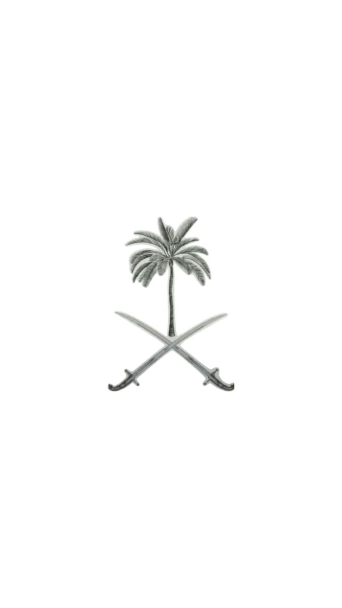 حسن الربيع