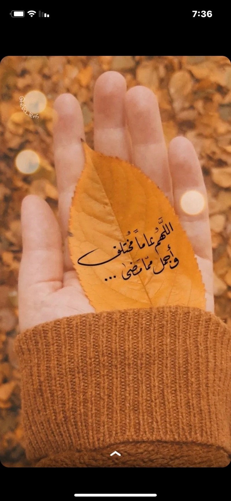 الجود جوجو