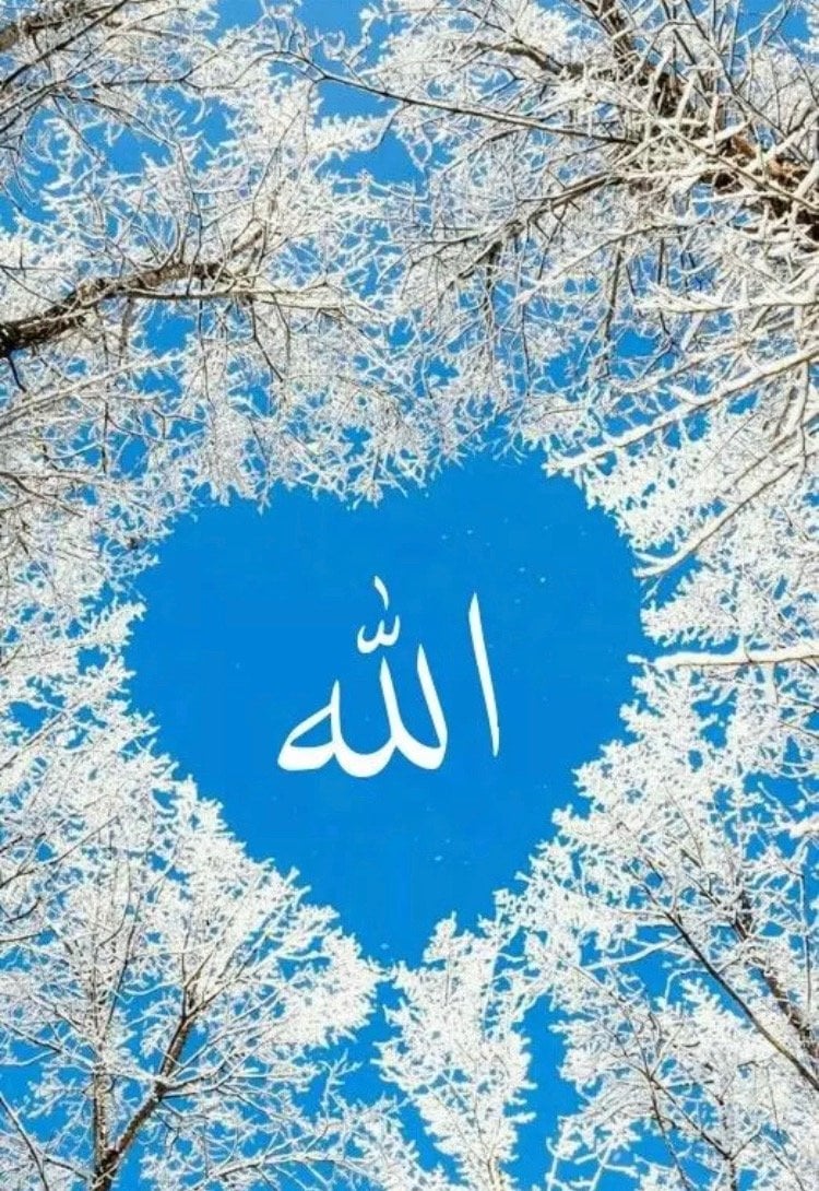 بندر المطيري