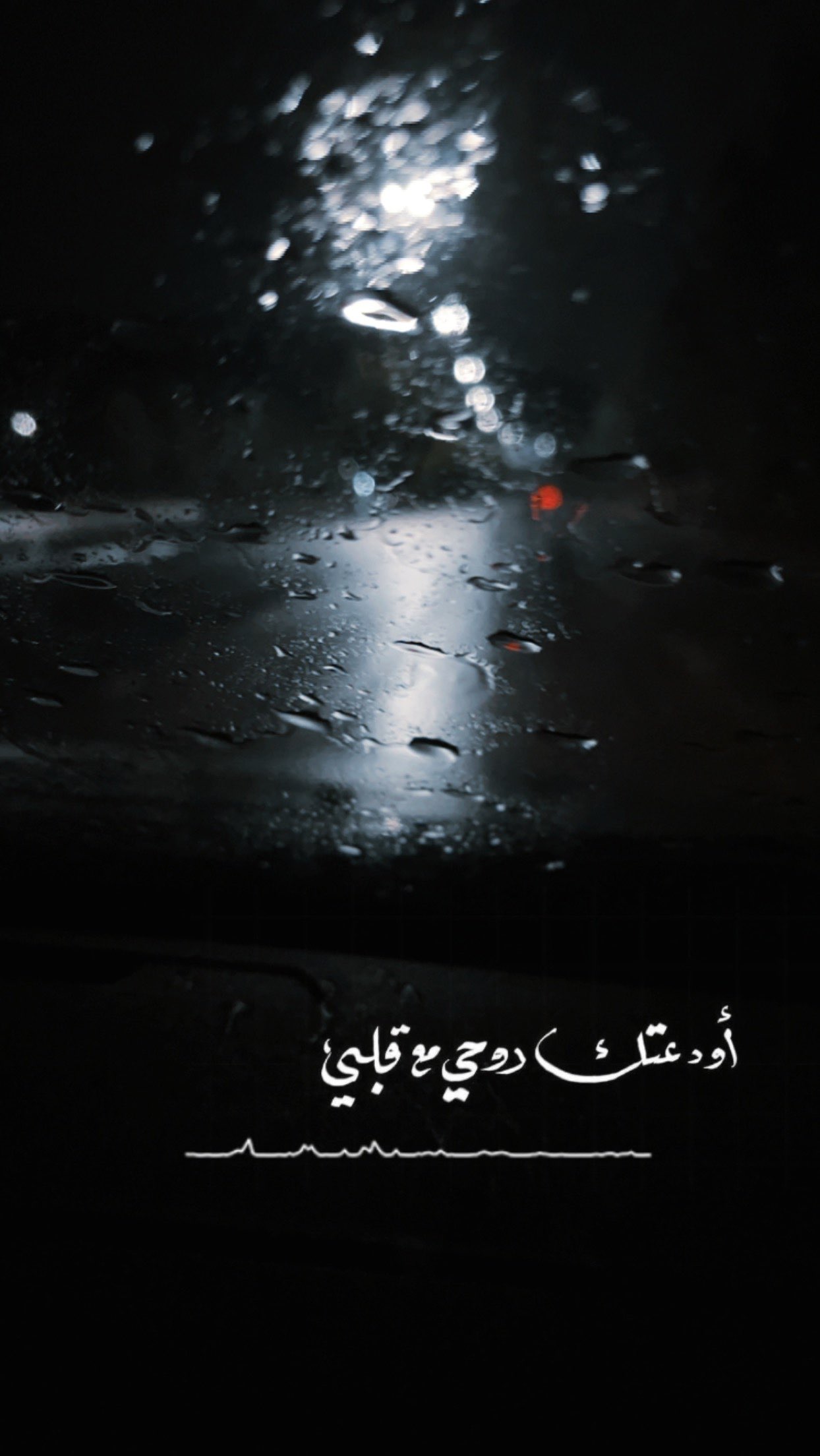 علياء العتيبي