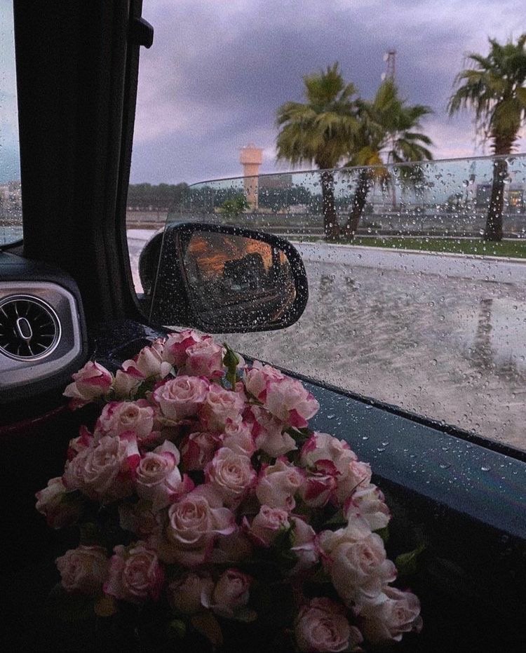 ريناد السعدون