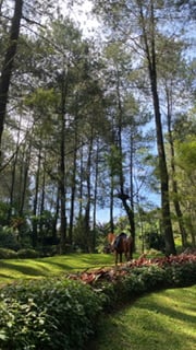 ريماس الكريمي