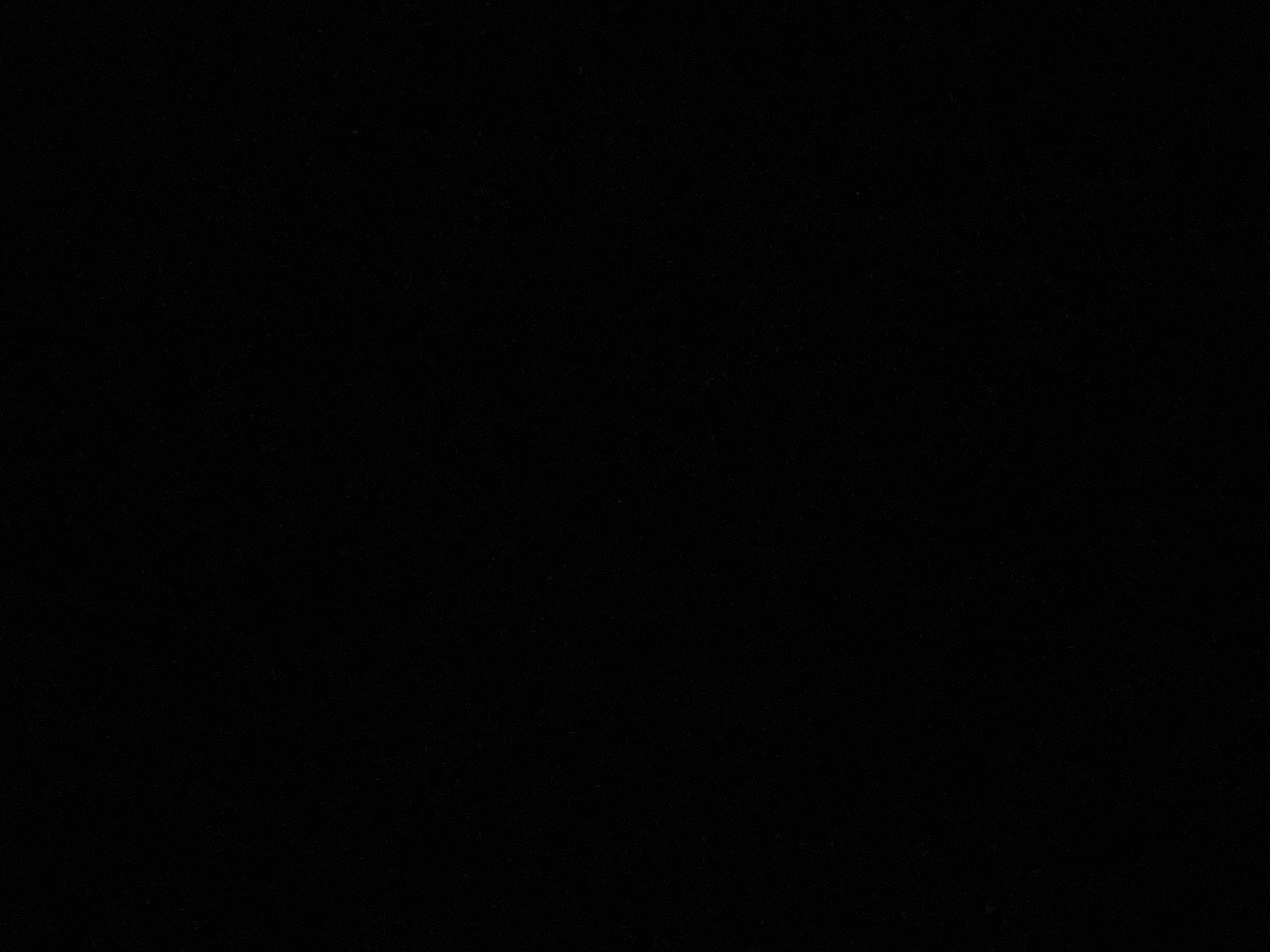 سالم هيازع