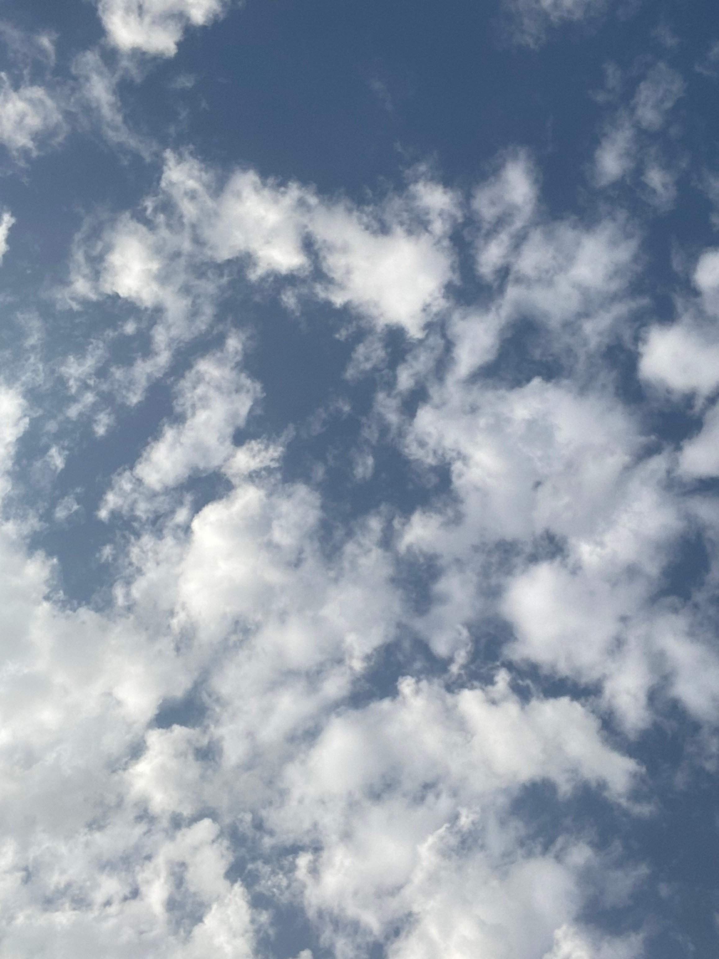 نسرين الحلوه