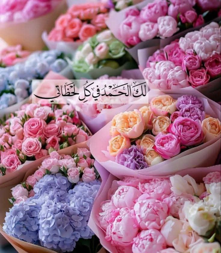 فاطمة بن محفوظ