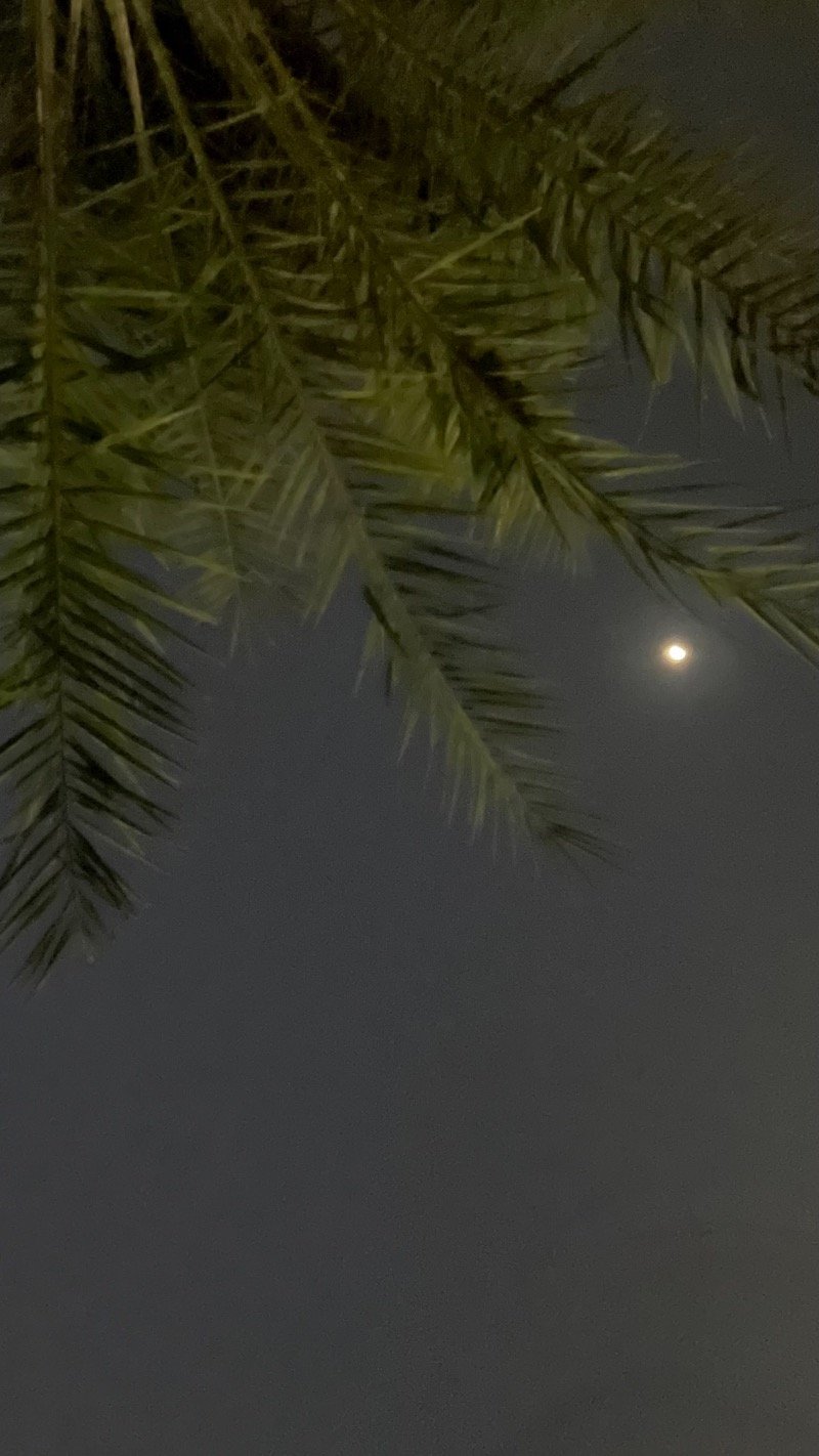 خالد المجيري