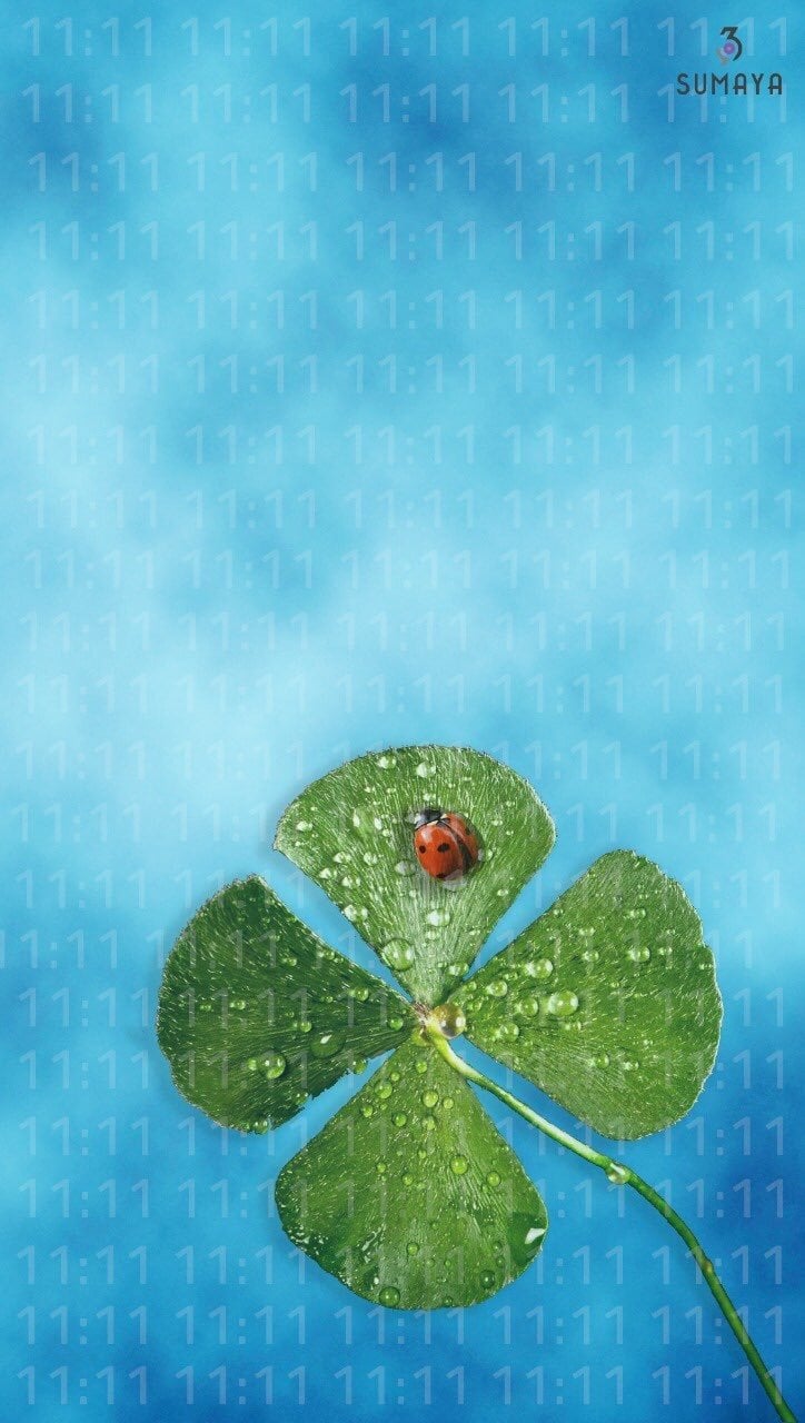 يشائر الحربي