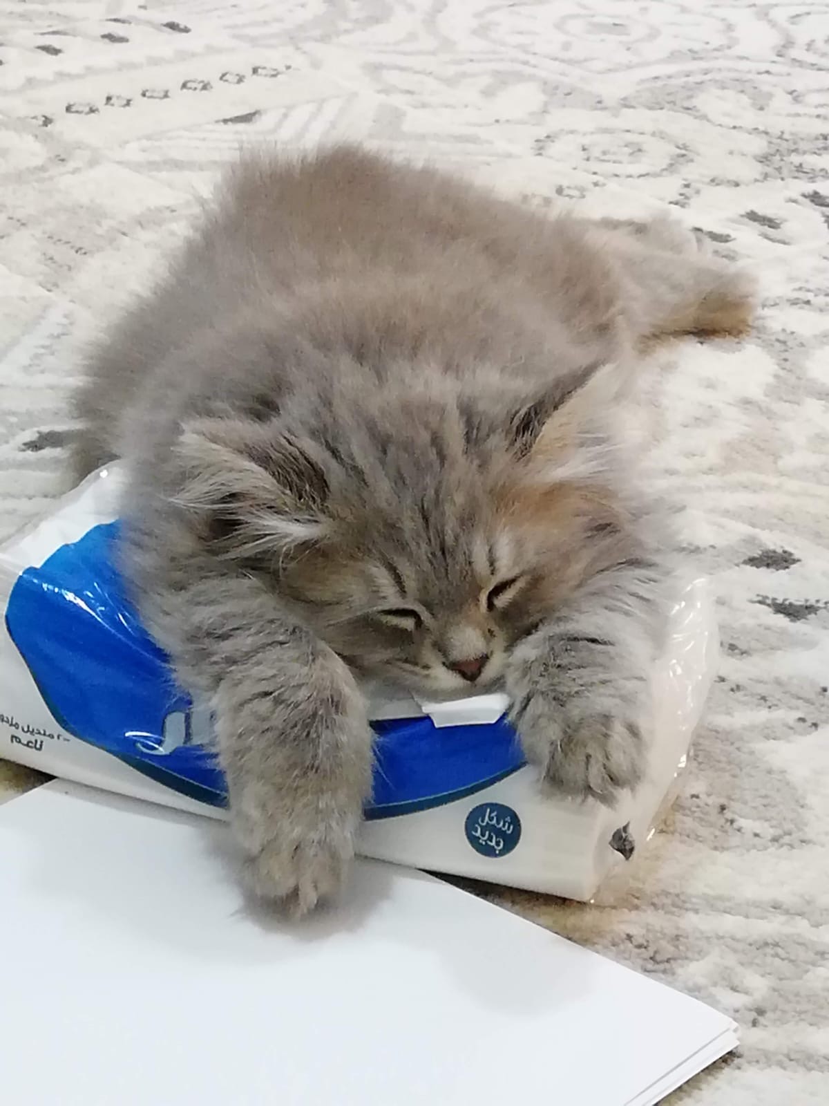 تغريد العتيبي